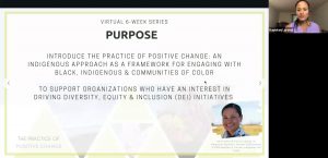 Screen shot of the video recording of the PPCIA introductory session; click to follow link